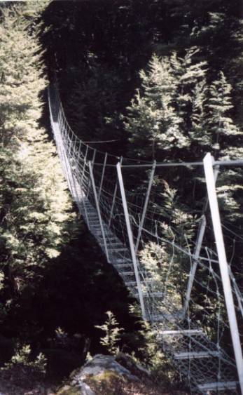 6. Steele Creek Swingbridge